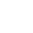 check-icon